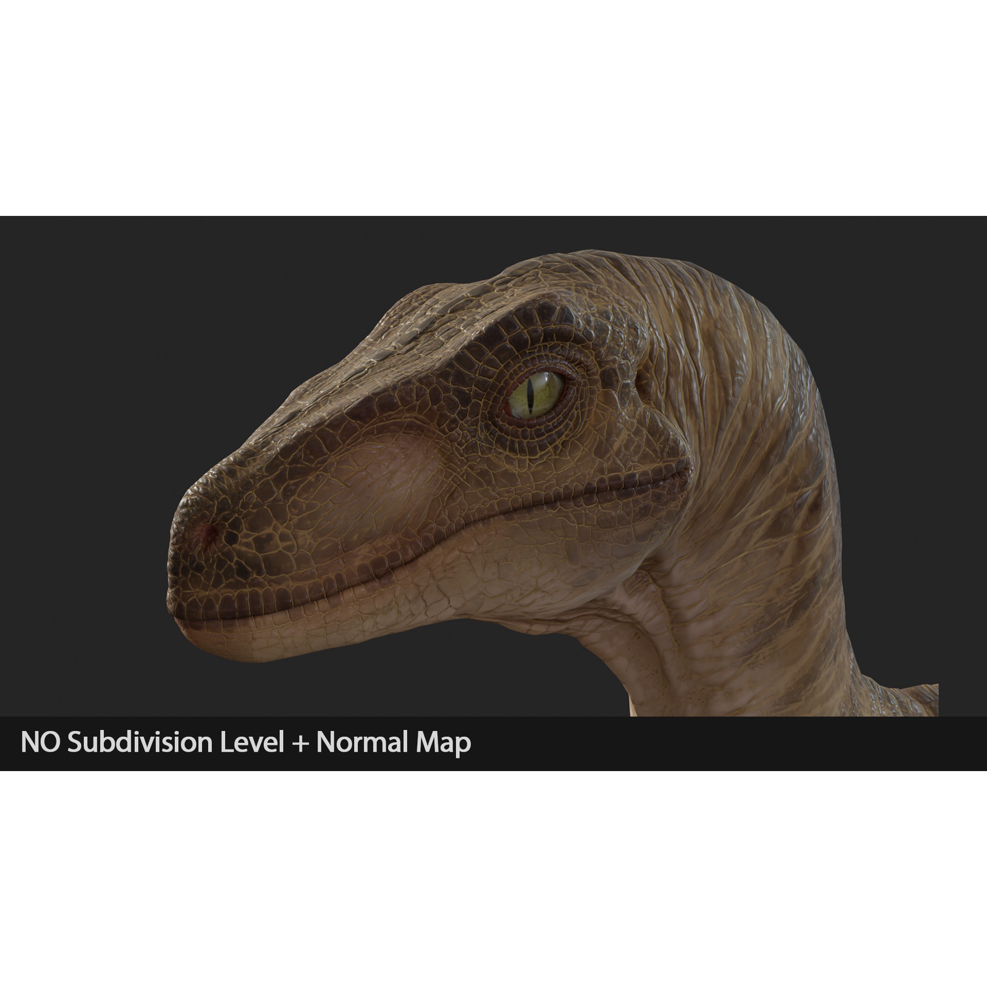 Jurassic Park Velociraptor - Low-Poly Game-Ready 3D Model - View 14