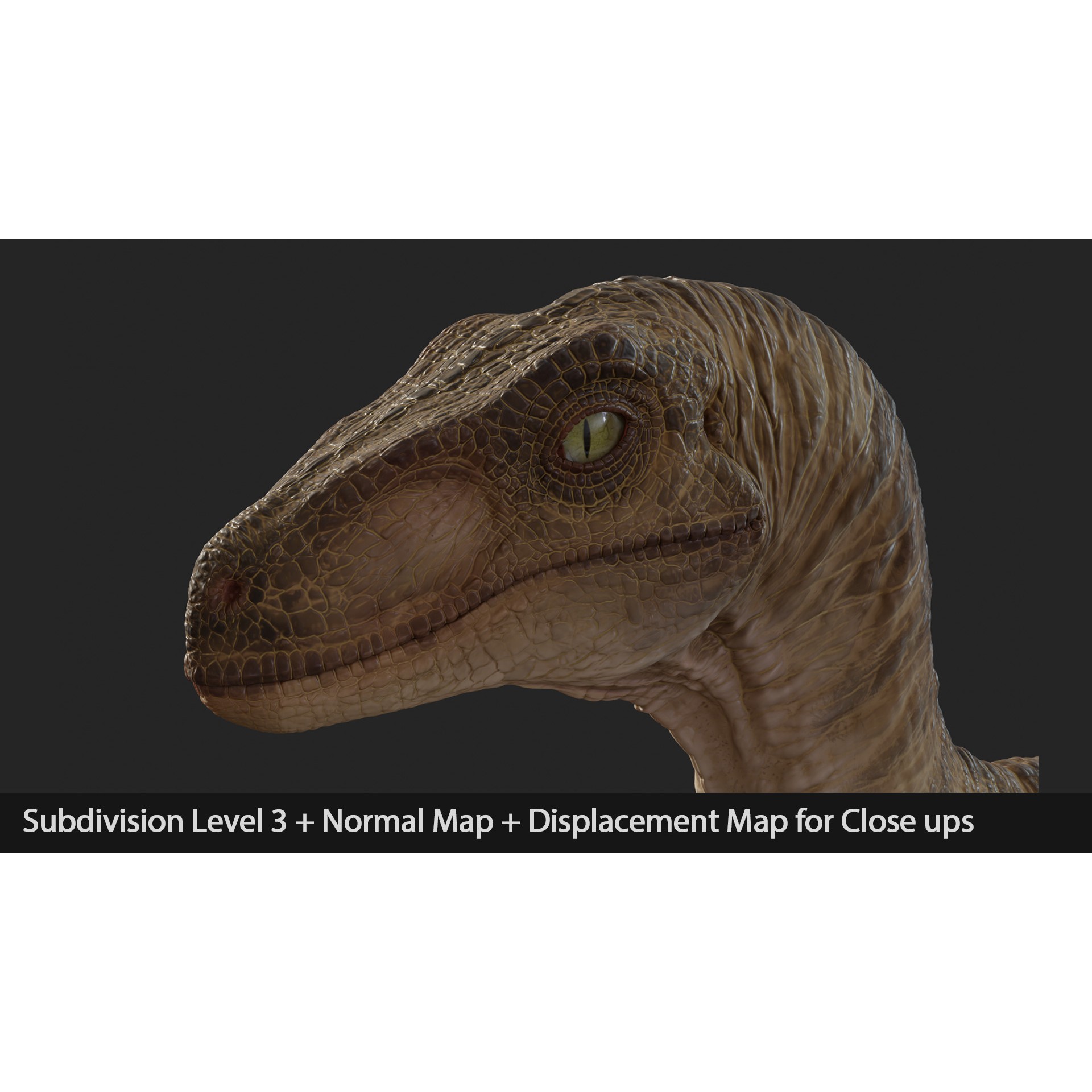 Jurassic Park Velociraptor - Low-Poly Game-Ready 3D Model - View 15