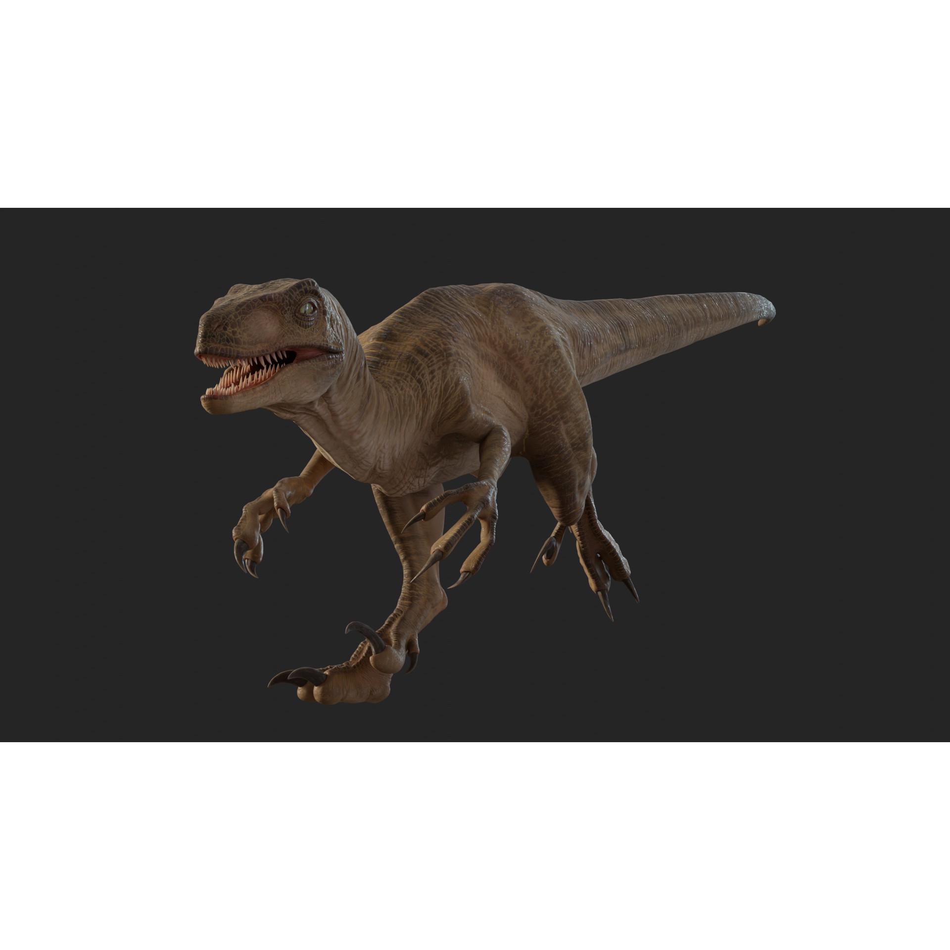 Jurassic Park Velociraptor - Low-Poly Game-Ready 3D Model - View 21