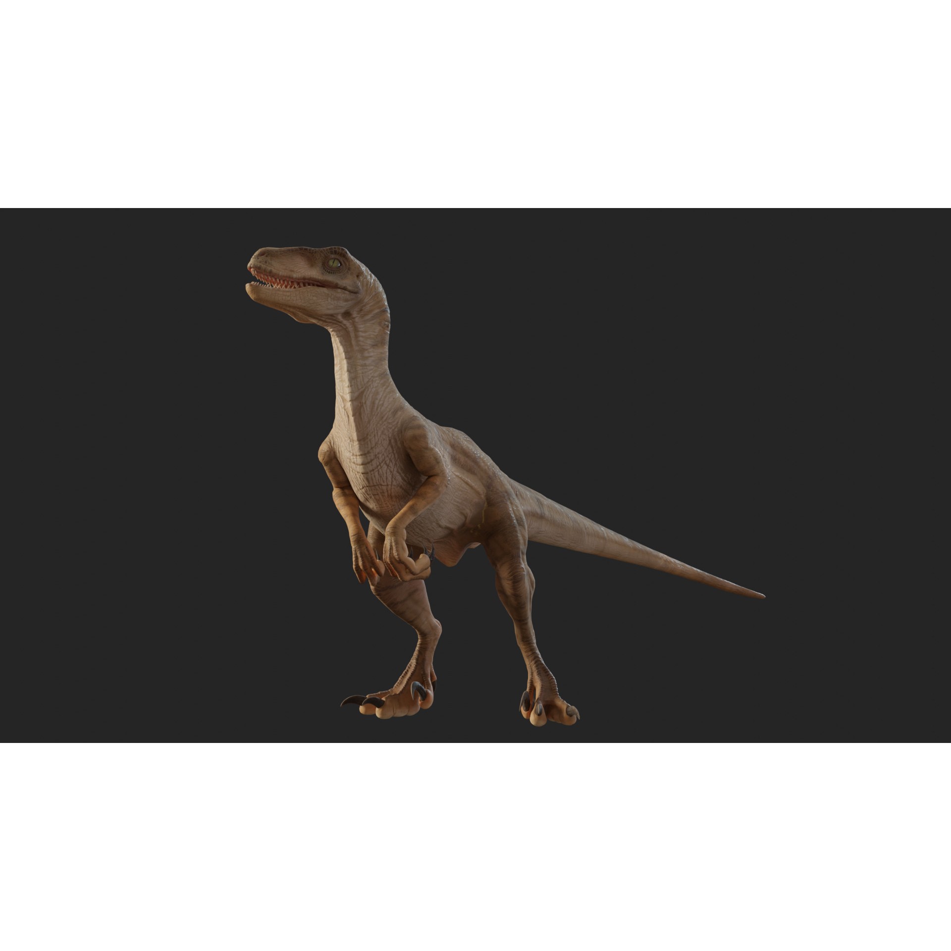Jurassic Park Velociraptor - Low-Poly Game-Ready 3D Model - View 22