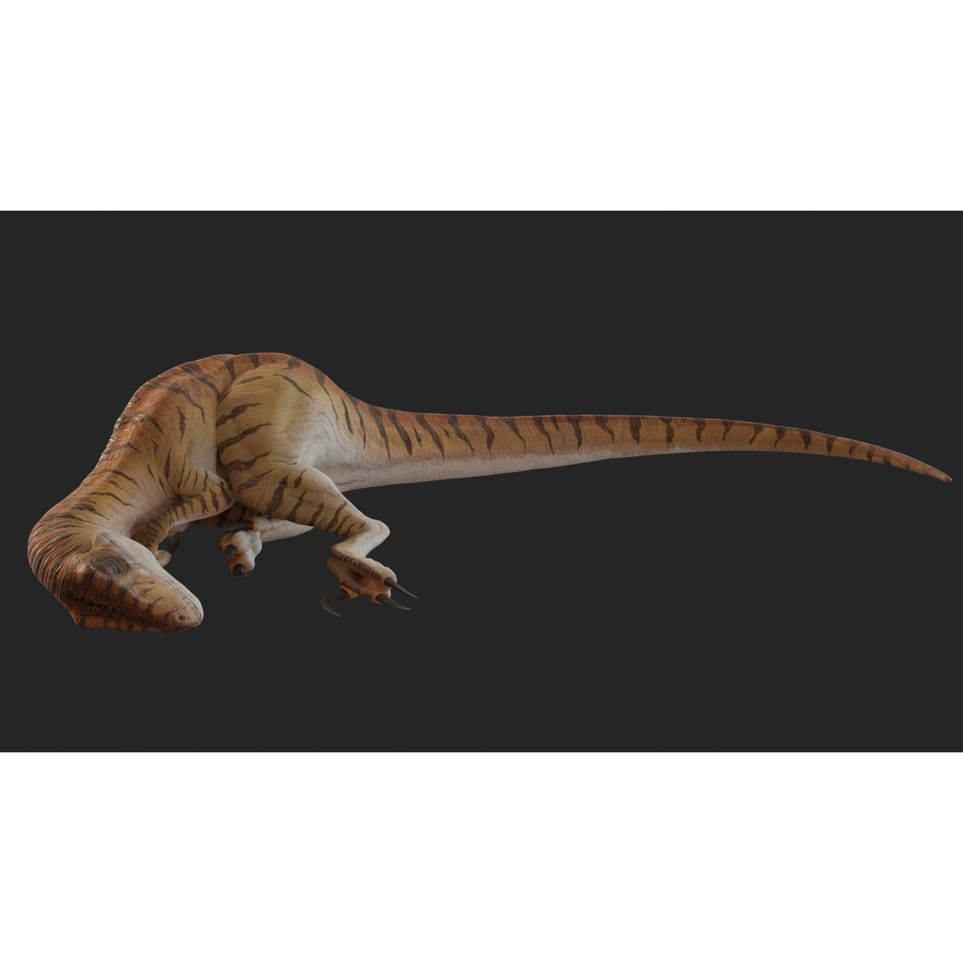 Jurassic Park Velociraptor - Low-Poly Game-Ready 3D Model - View 23