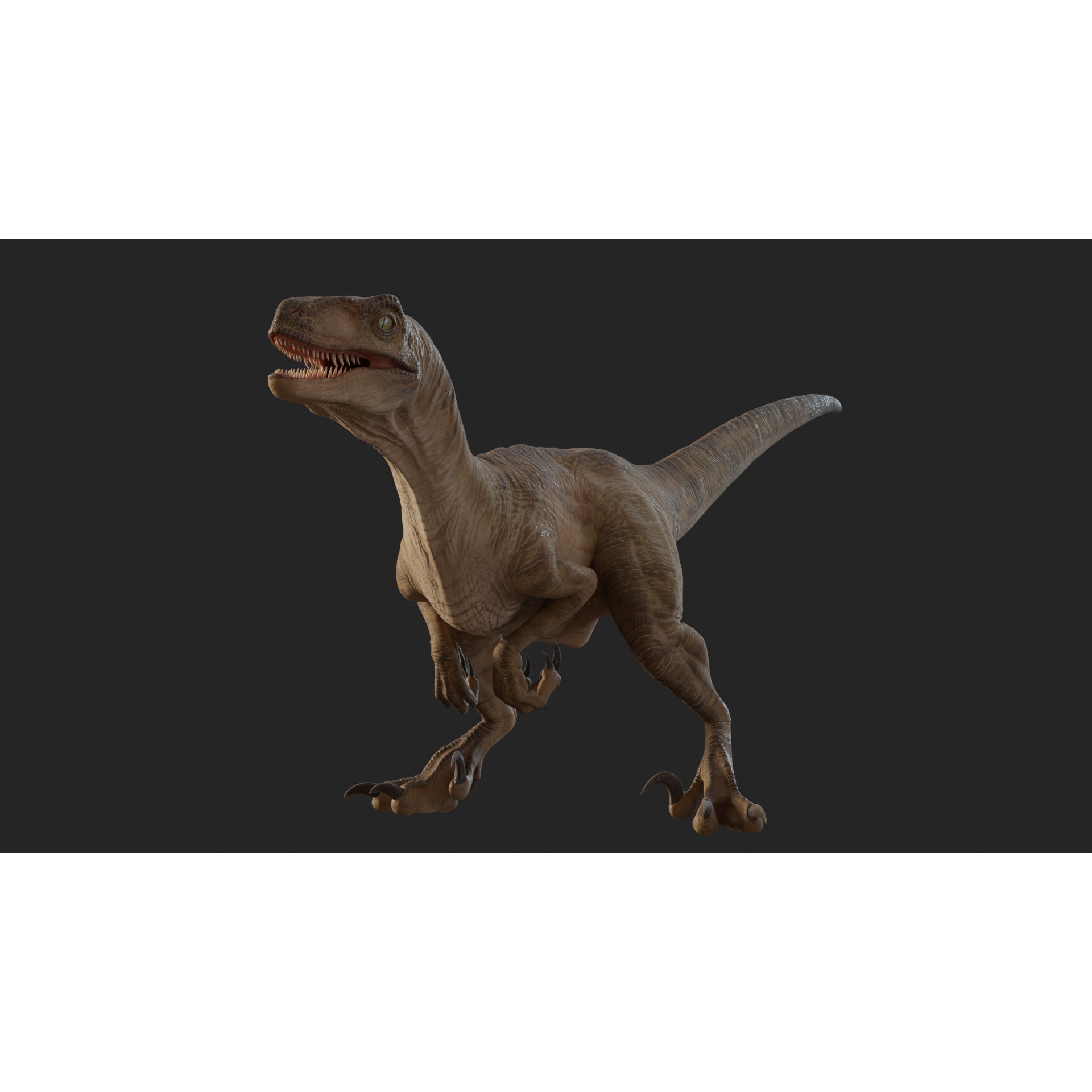Jurassic Park Velociraptor - Low-Poly Game-Ready 3D Model - View 24