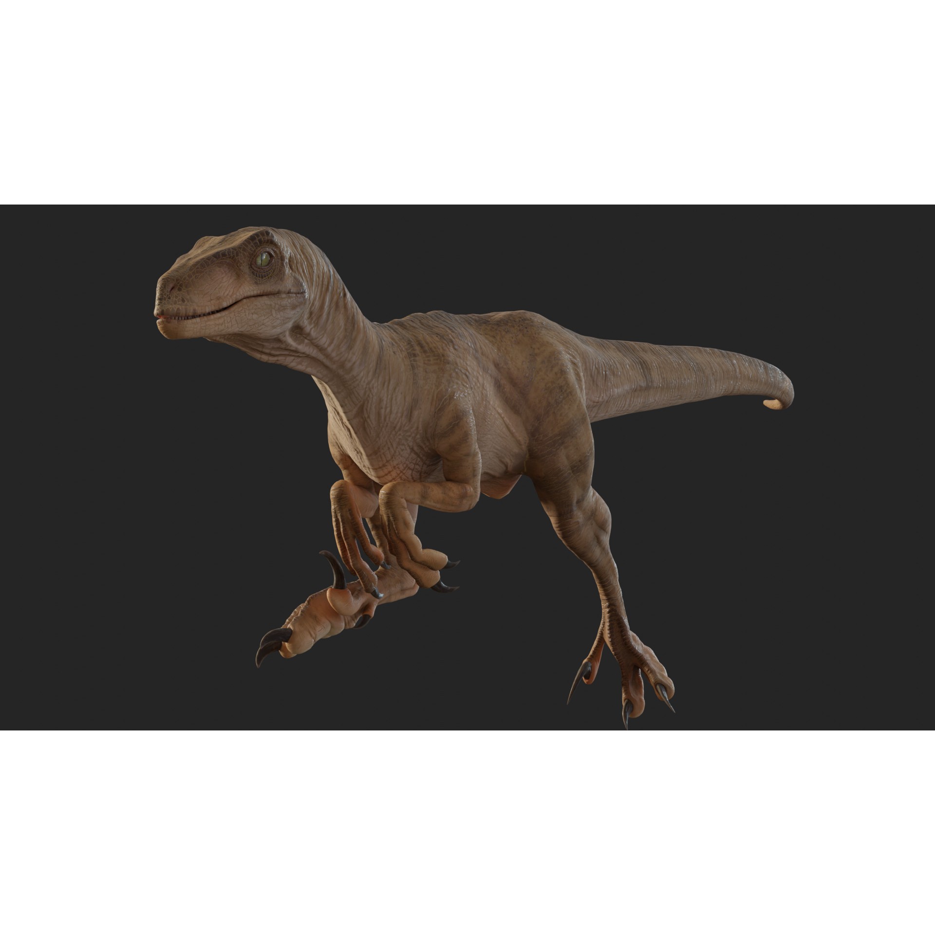 Jurassic Park Velociraptor - Low-Poly Game-Ready 3D Model - View 25