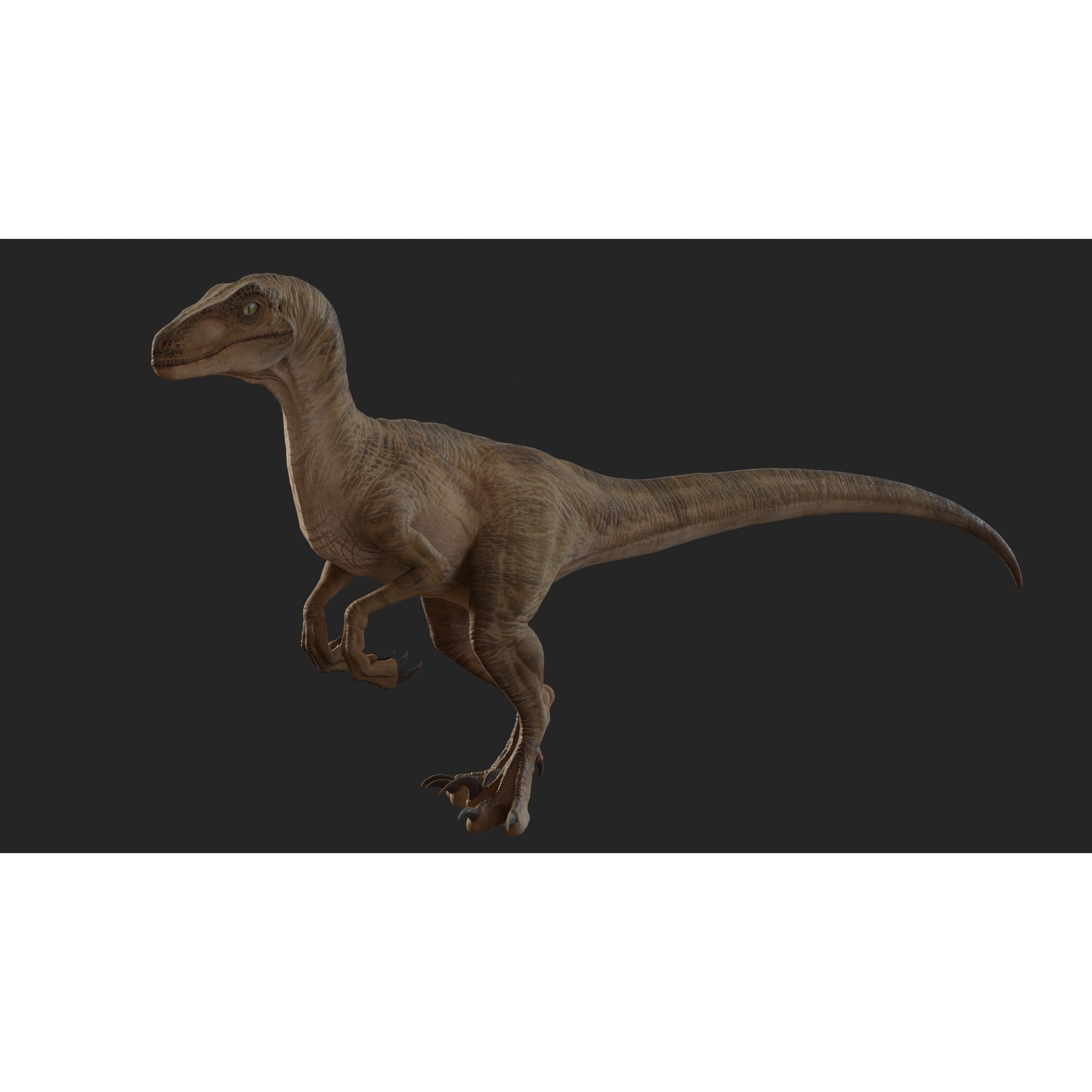Jurassic Park Velociraptor - Low-Poly Game-Ready 3D Model - View 4