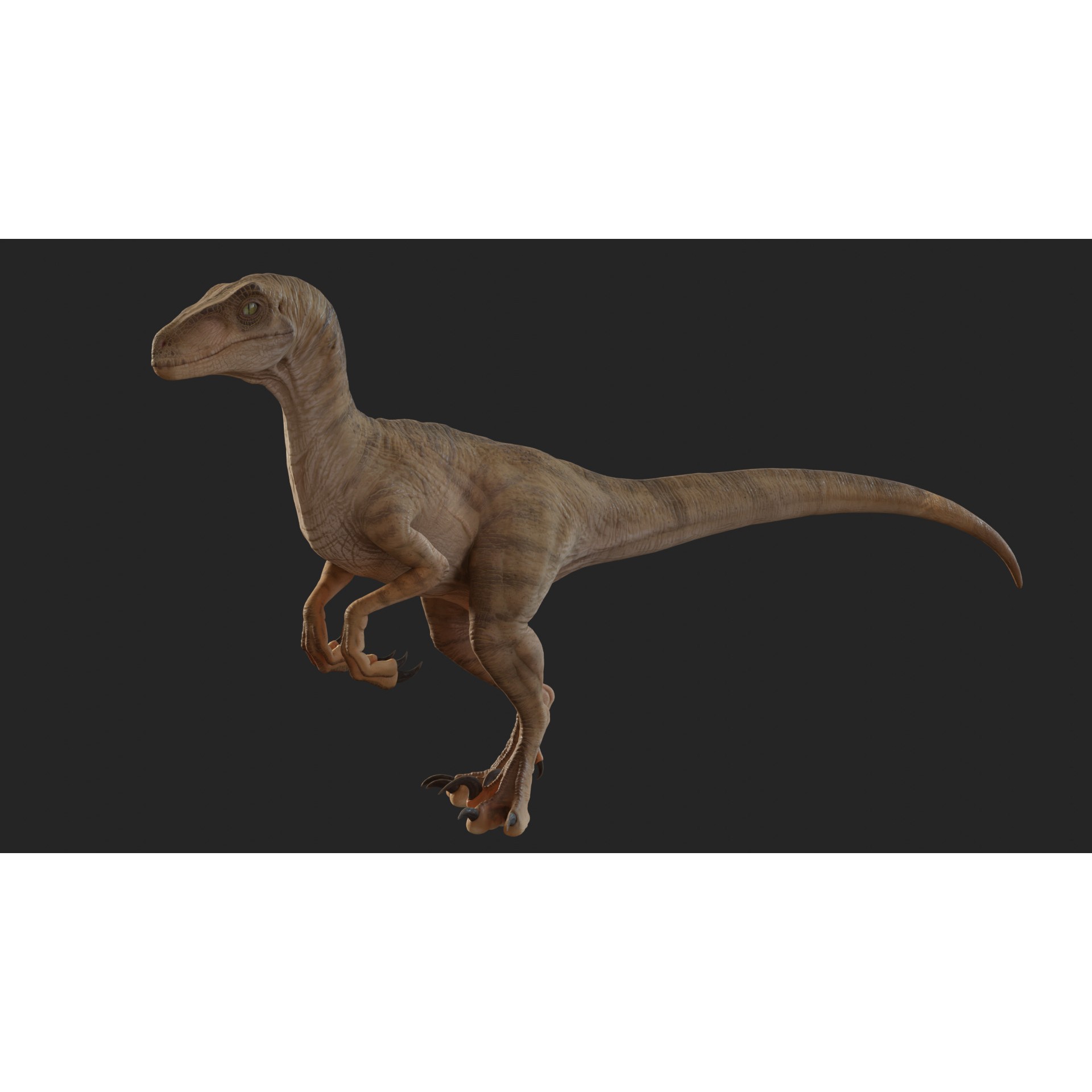 Jurassic Park Velociraptor - Low-Poly Game-Ready 3D Model - View 5