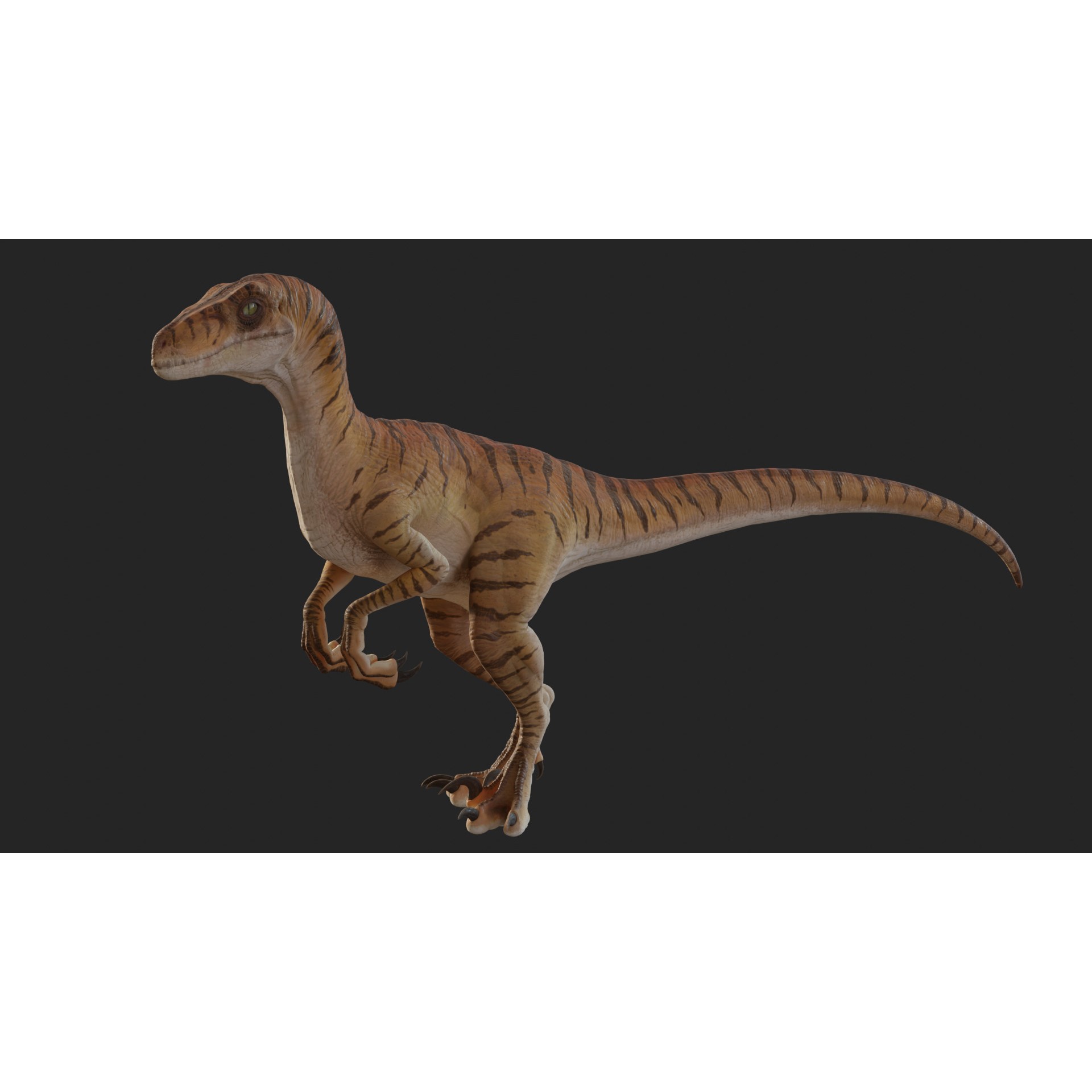 Jurassic Park Velociraptor - Low-Poly Game-Ready 3D Model - View 6