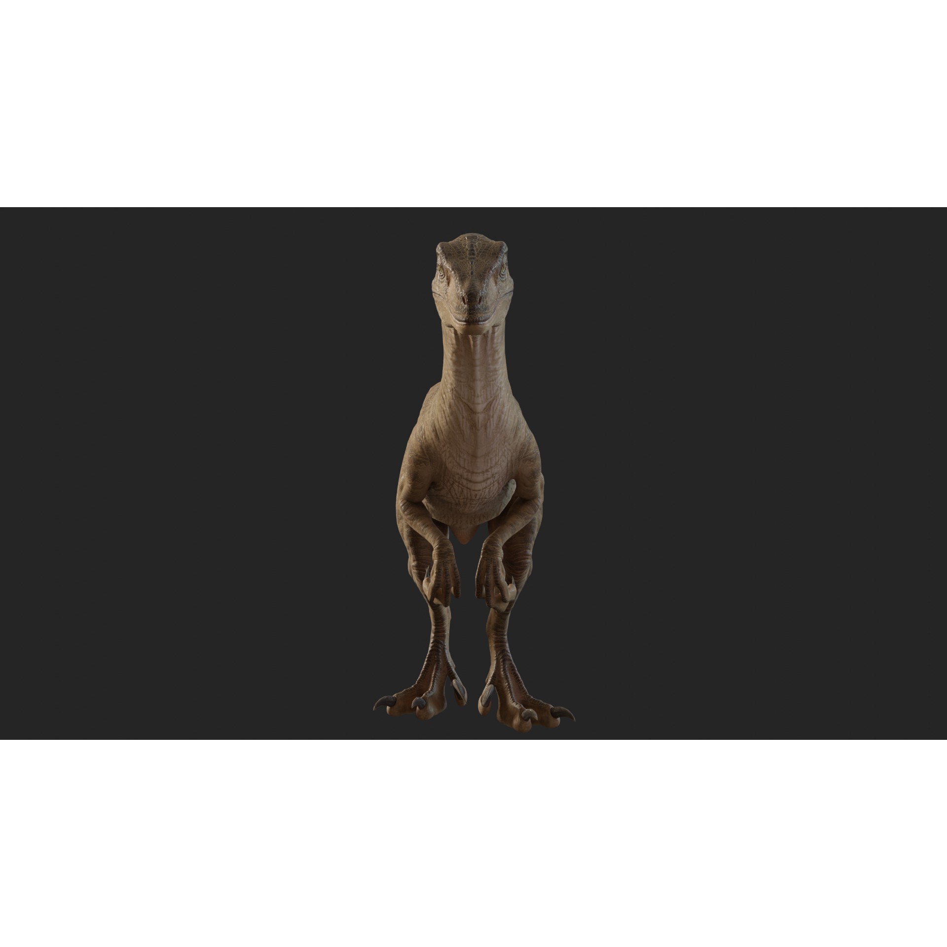 Jurassic Park Velociraptor - Low-Poly Game-Ready 3D Model - View 7