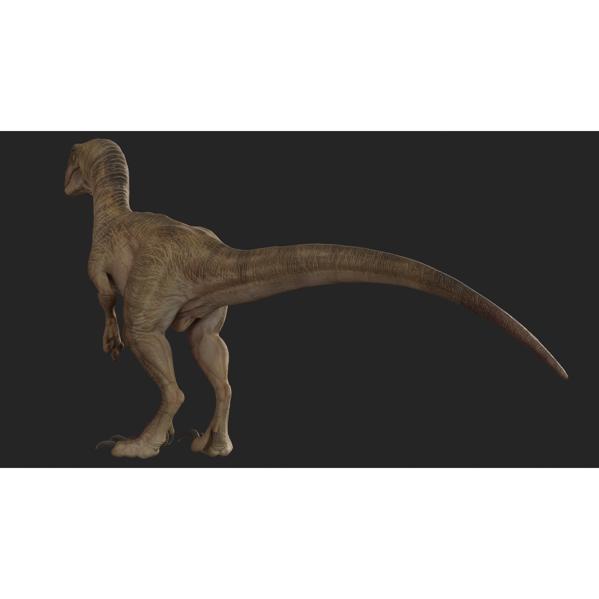 Jurassic Park Velociraptor - Low-Poly Game-Ready 3D Model - View 9