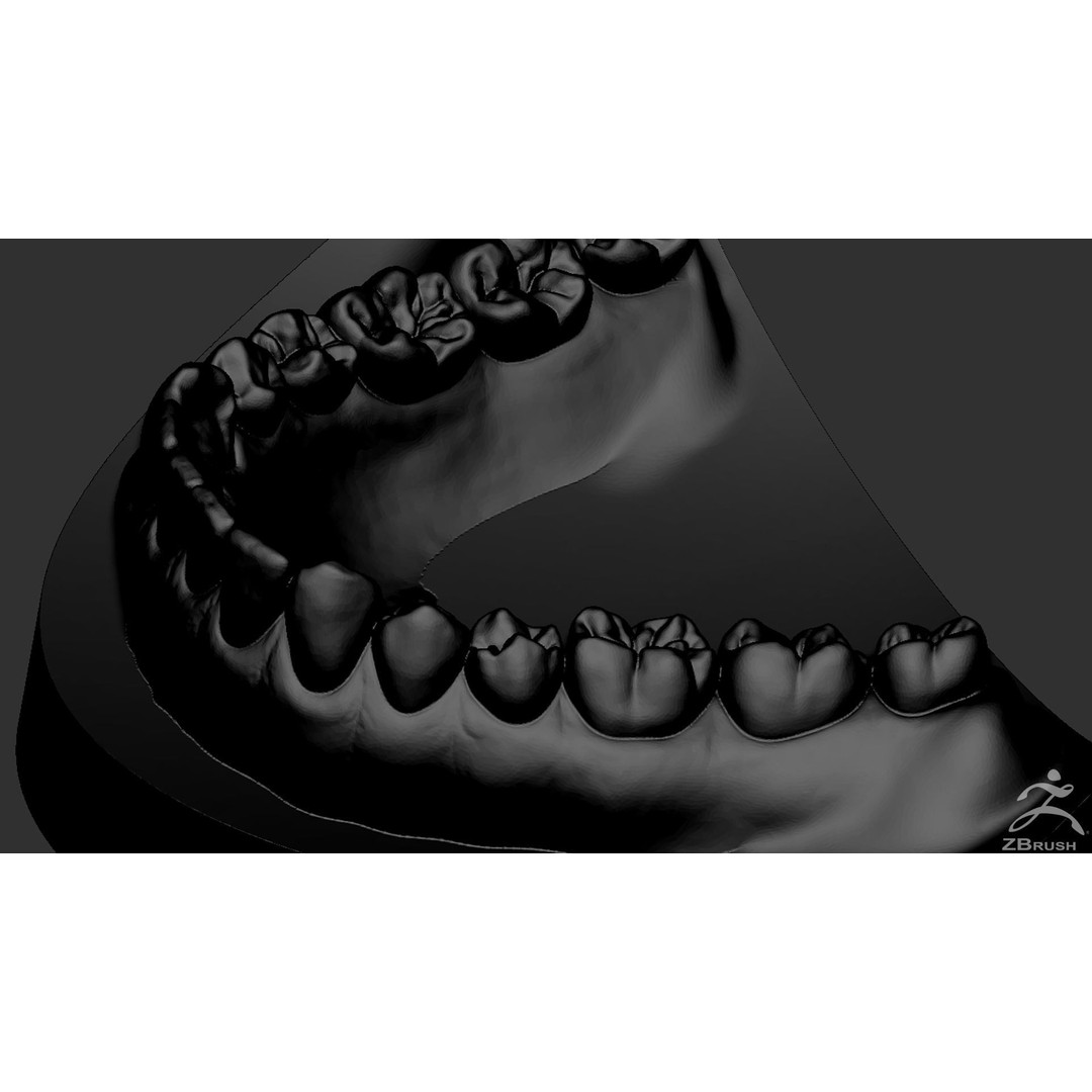 High Poly Mouth 3D Model – Realistic Anatomy Asset, OBJ + STL