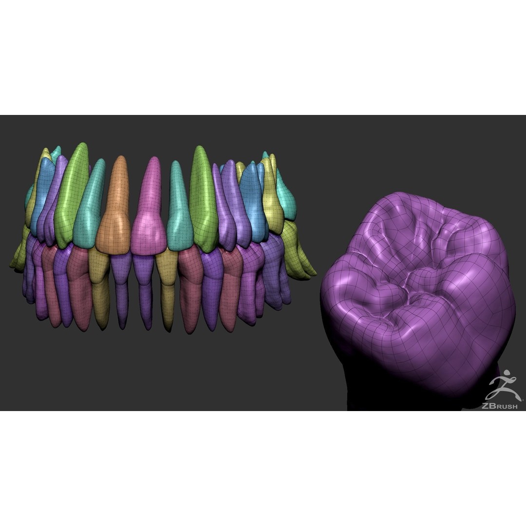 High Poly Mouth 3D Model – Realistic Anatomy Asset, OBJ + STL - View 10