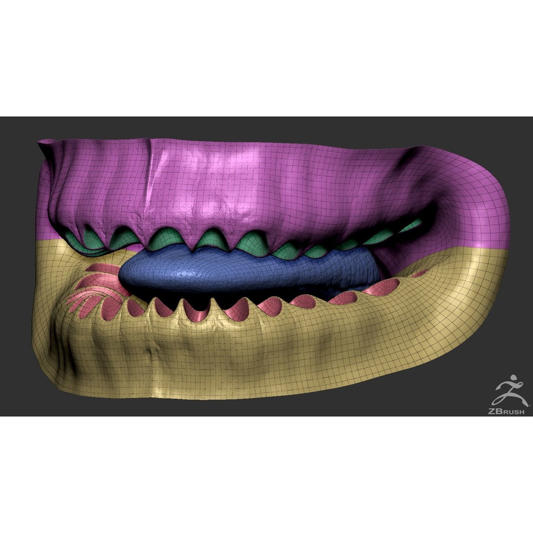 High Poly Mouth 3D Model – Realistic Anatomy Asset, OBJ + STL - View 11
