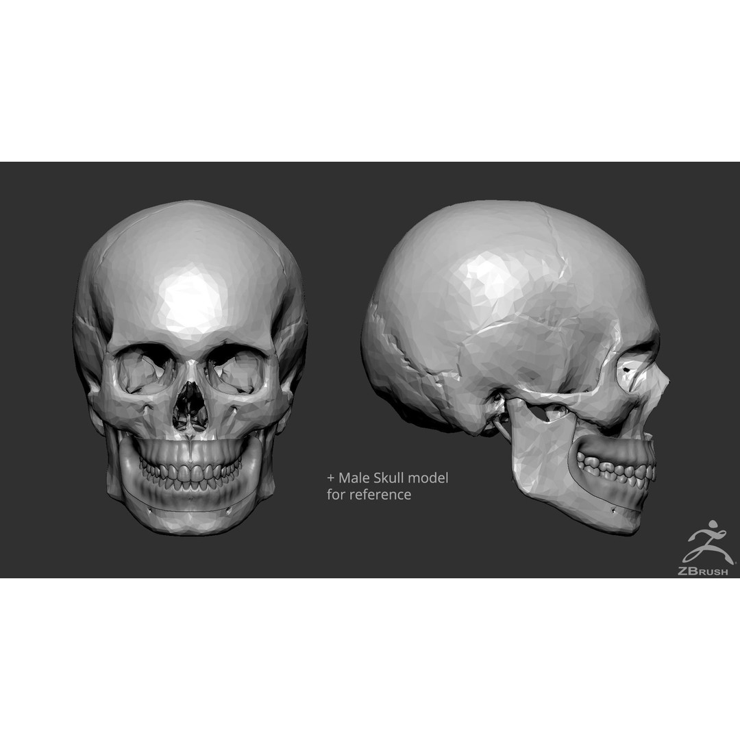 High Poly Mouth 3D Model – Realistic Anatomy Asset, OBJ + STL - View 13