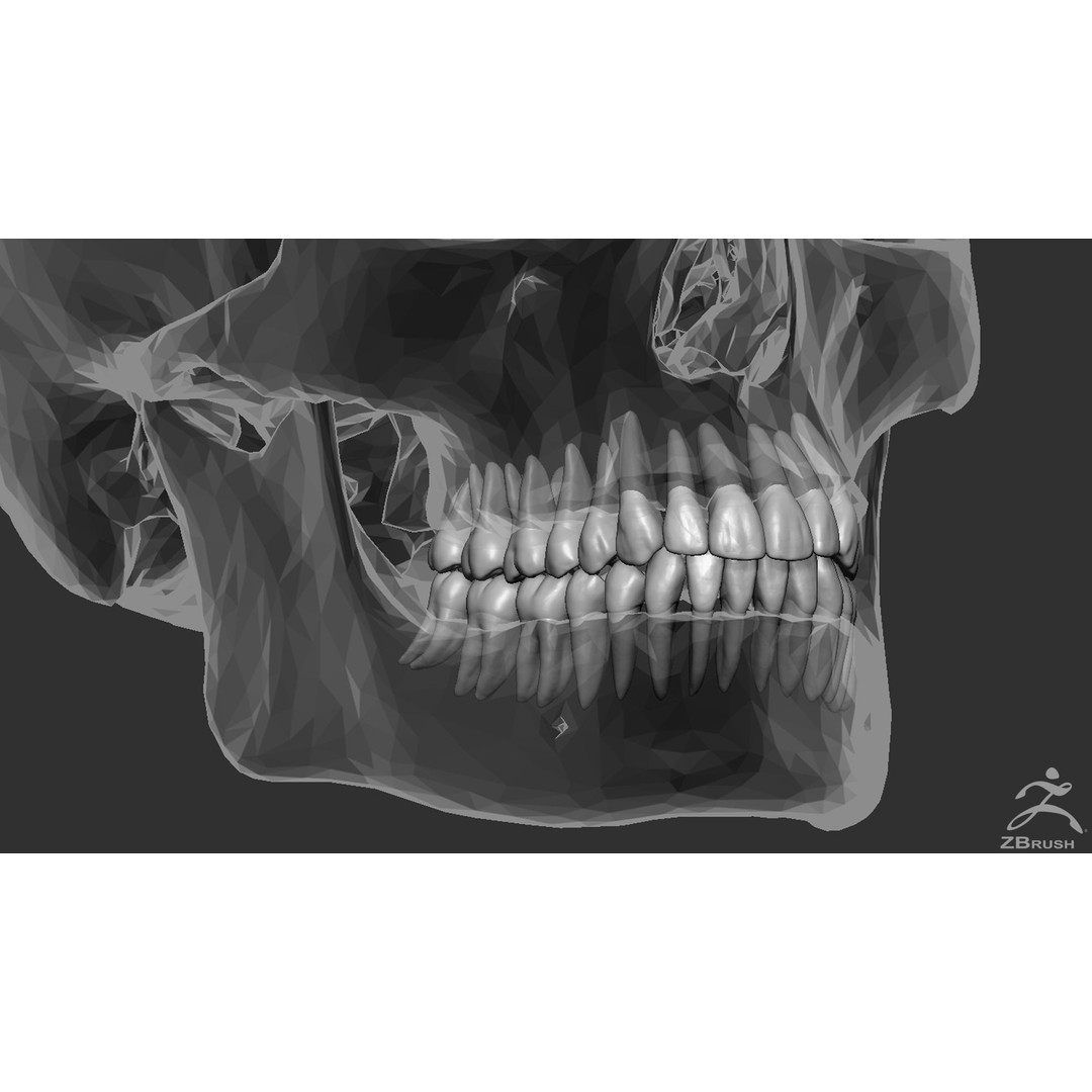 High Poly Mouth 3D Model – Realistic Anatomy Asset, OBJ + STL - View 14