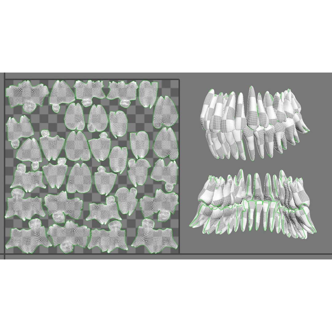 High Poly Mouth 3D Model – Realistic Anatomy Asset, OBJ + STL - View 15