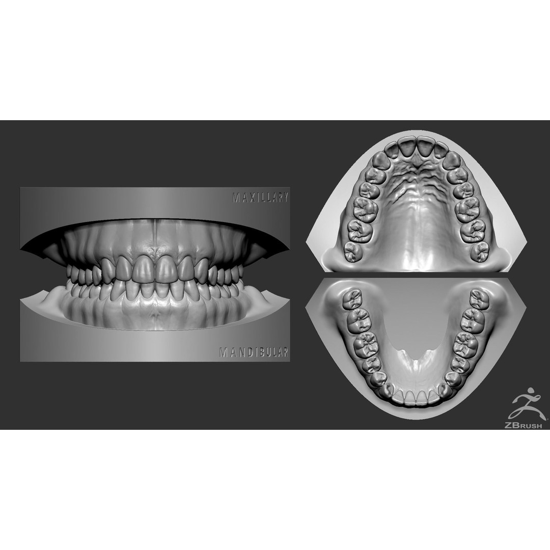 High Poly Mouth 3D Model – Realistic Anatomy Asset, OBJ + STL - View 18