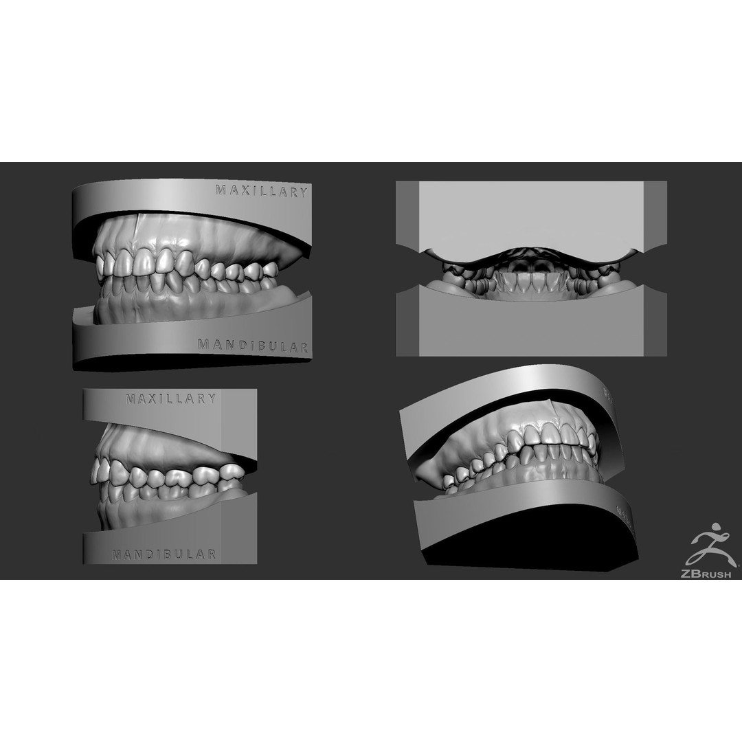 High Poly Mouth 3D Model – Realistic Anatomy Asset, OBJ + STL - View 19