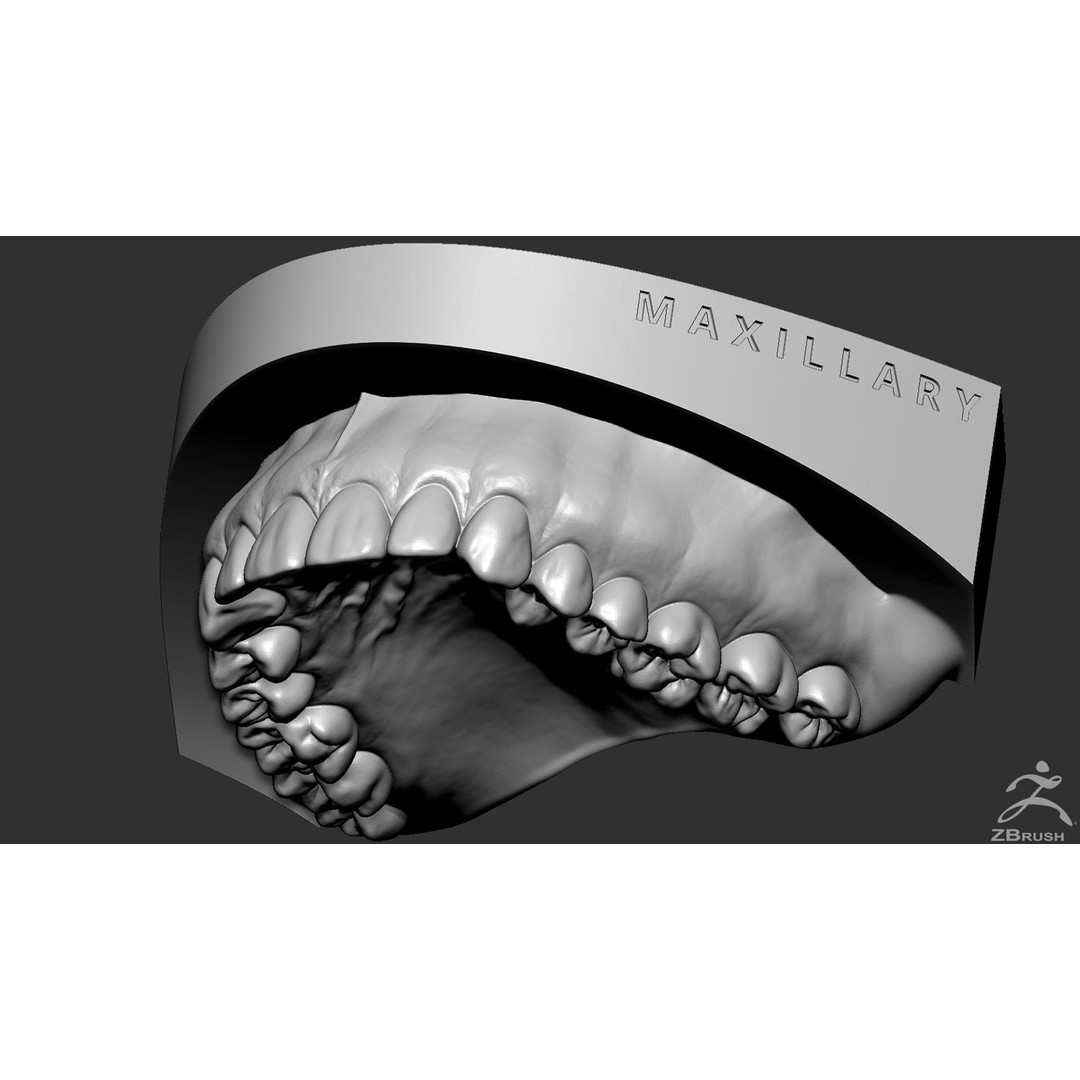 High Poly Mouth 3D Model – Realistic Anatomy Asset, OBJ + STL - View 20