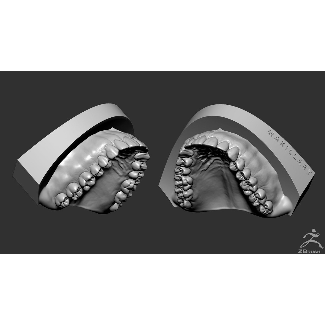 High Poly Mouth 3D Model – Realistic Anatomy Asset, OBJ + STL - View 21