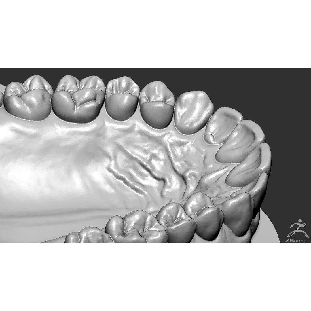 High Poly Mouth 3D Model – Realistic Anatomy Asset, OBJ + STL - View 22