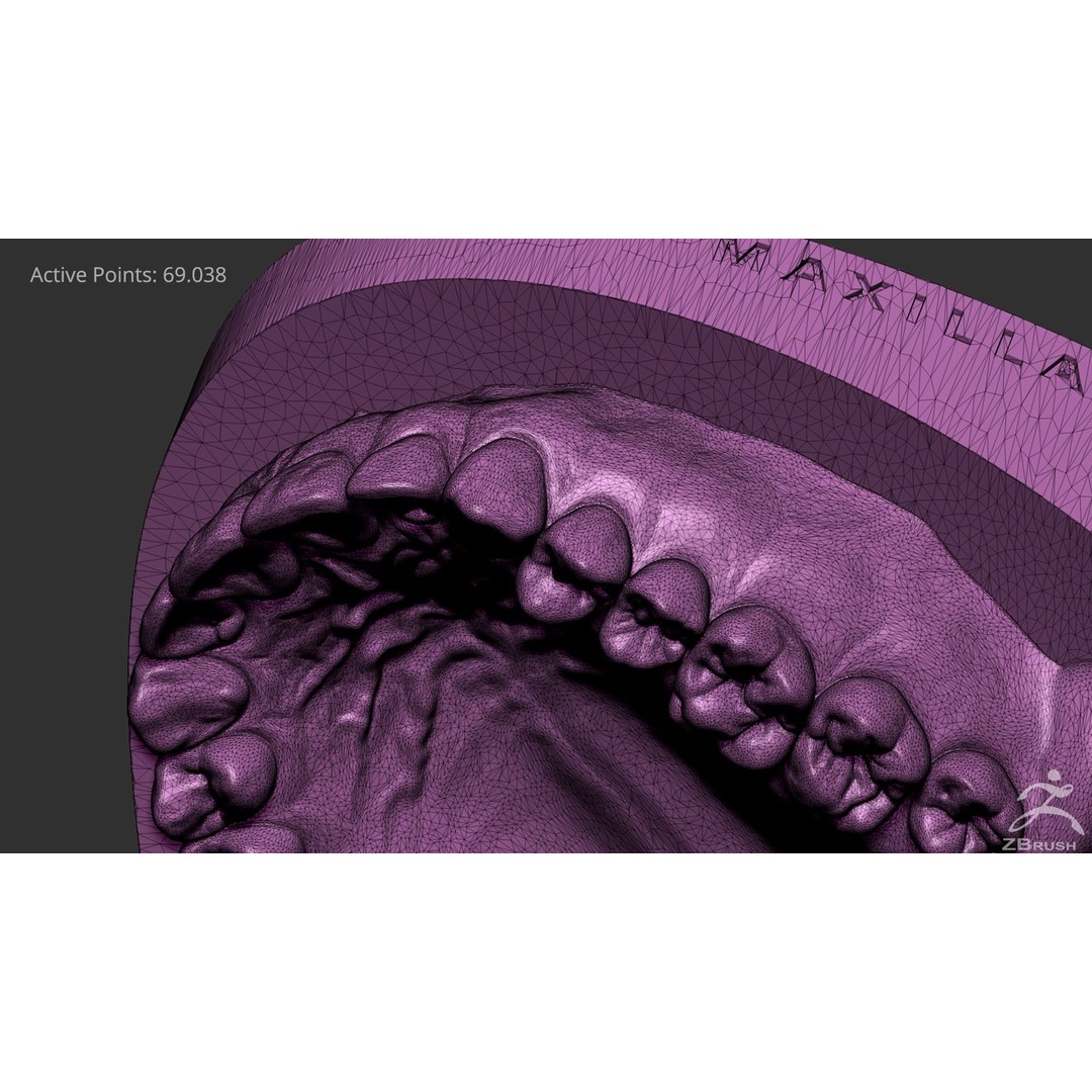 High Poly Mouth 3D Model – Realistic Anatomy Asset, OBJ + STL - View 23