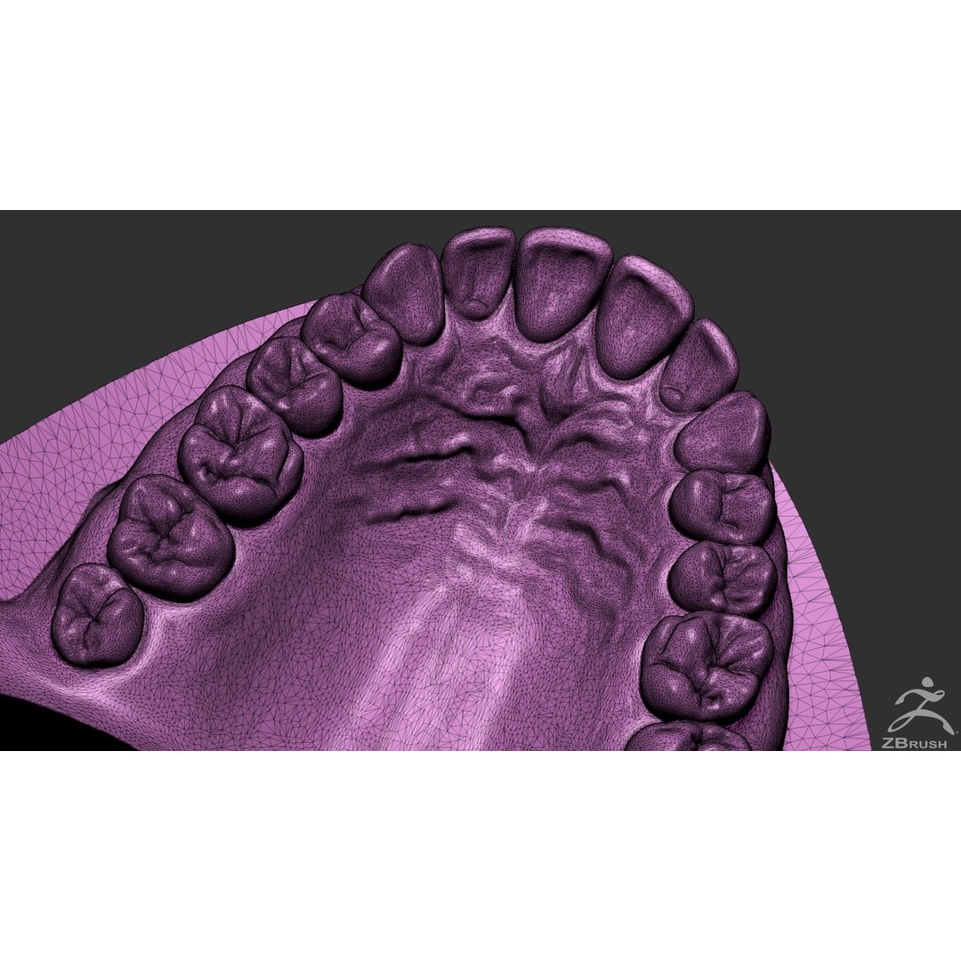 High Poly Mouth 3D Model – Realistic Anatomy Asset, OBJ + STL - View 24