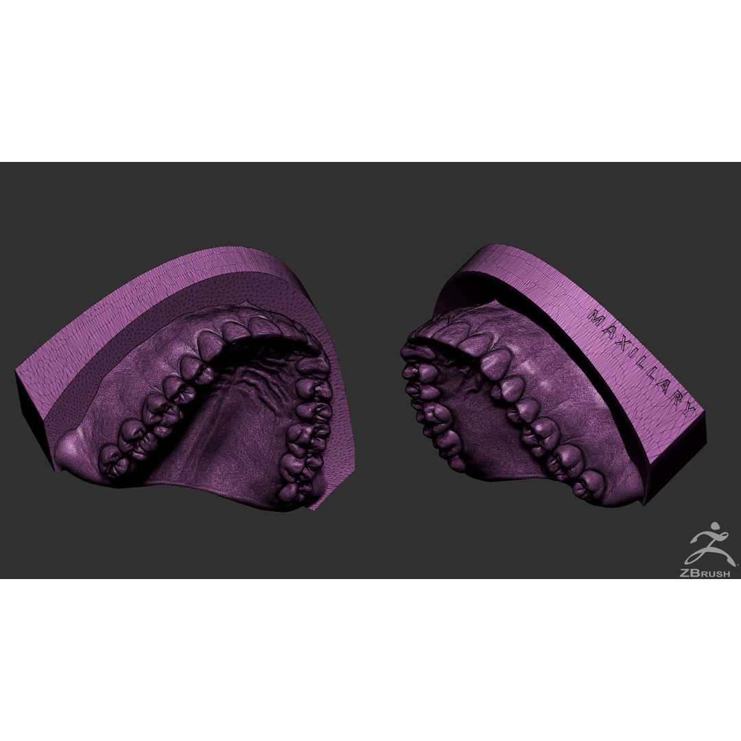 High Poly Mouth 3D Model – Realistic Anatomy Asset, OBJ + STL - View 25