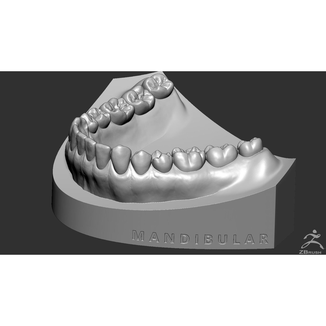 High Poly Mouth 3D Model – Realistic Anatomy Asset, OBJ + STL - View 26