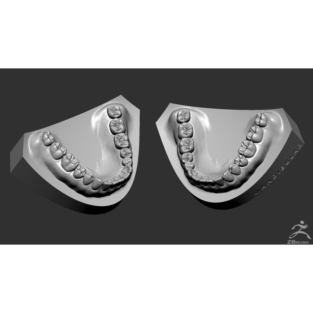 High Poly Mouth 3D Model – Realistic Anatomy Asset, OBJ + STL - View 27