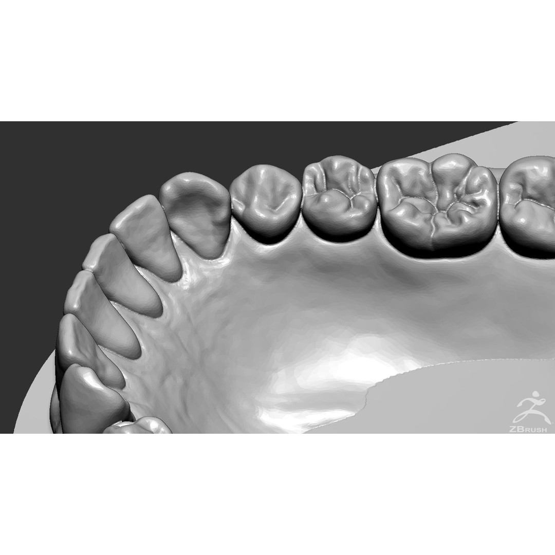 High Poly Mouth 3D Model – Realistic Anatomy Asset, OBJ + STL - View 28