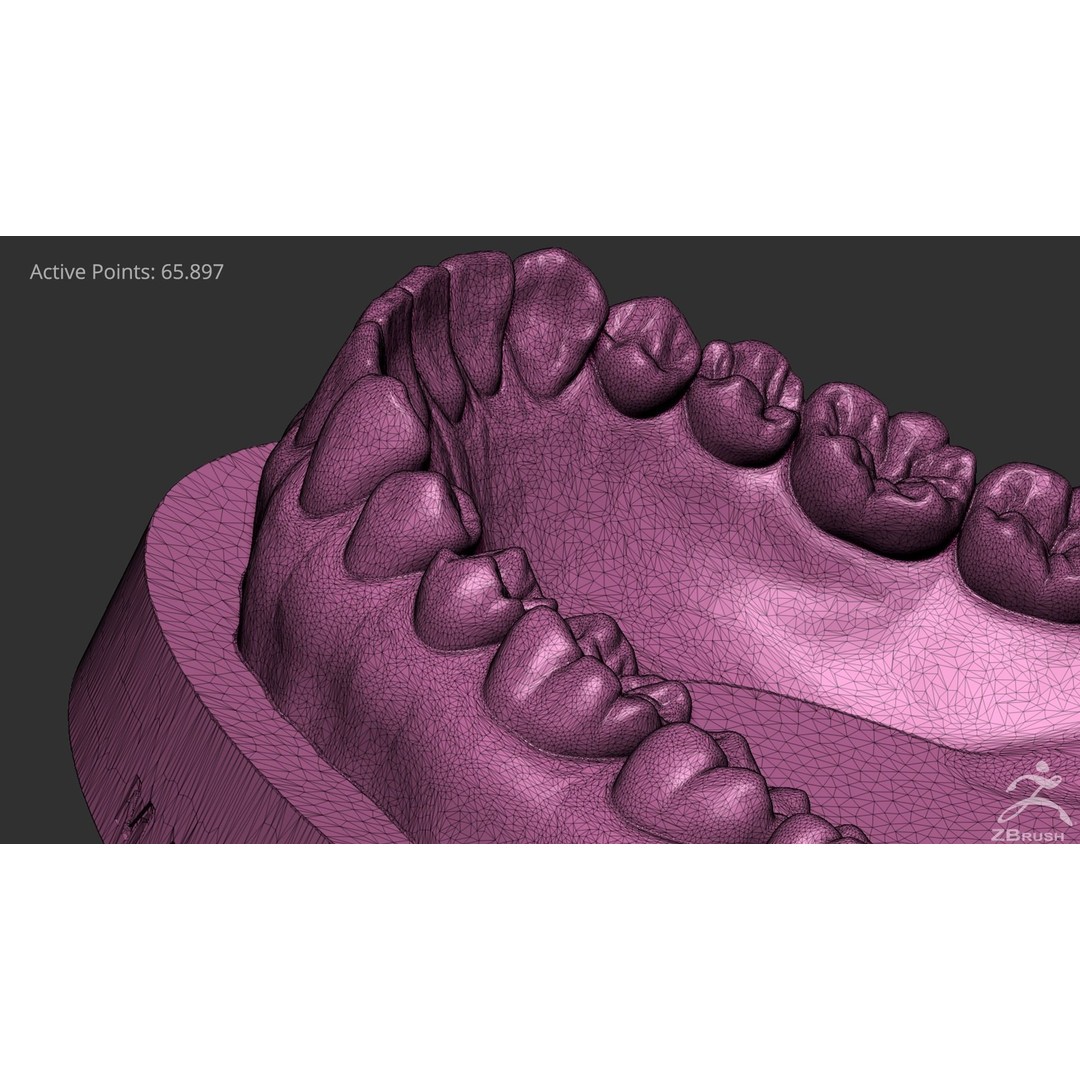 High Poly Mouth 3D Model – Realistic Anatomy Asset, OBJ + STL - View 29