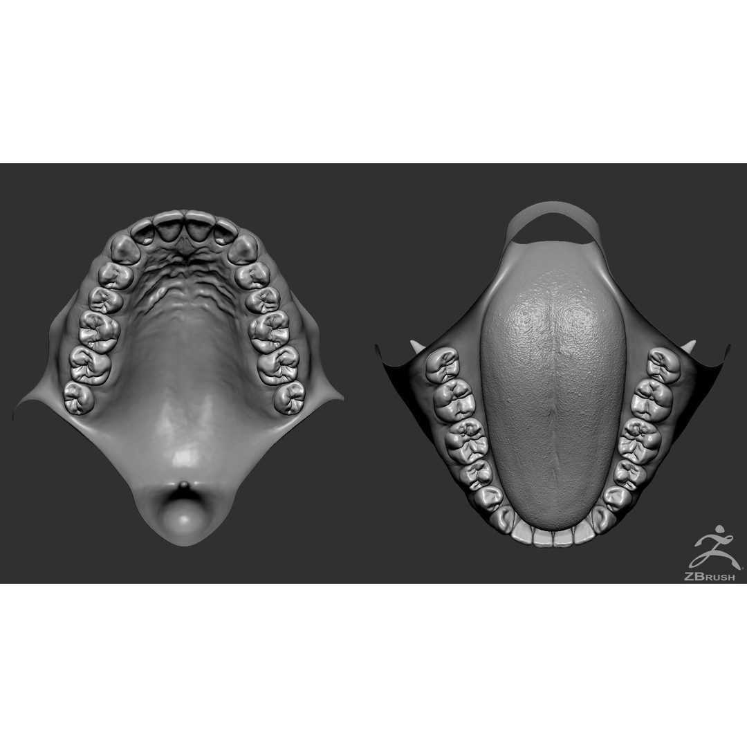 High Poly Mouth 3D Model – Realistic Anatomy Asset, OBJ + STL - View 3