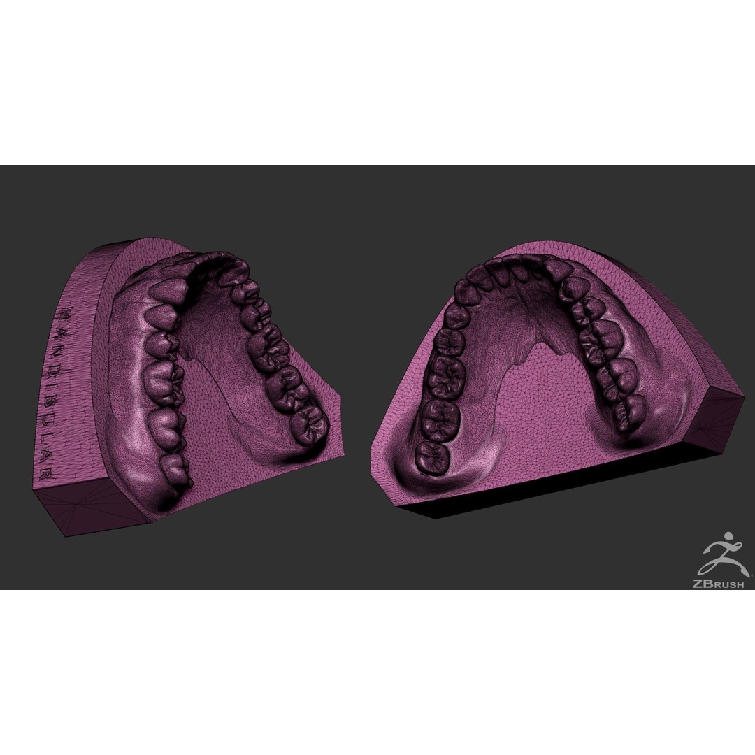 High Poly Mouth 3D Model – Realistic Anatomy Asset, OBJ + STL - View 30