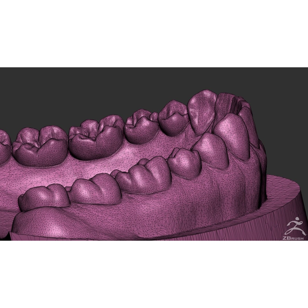 High Poly Mouth 3D Model – Realistic Anatomy Asset, OBJ + STL - View 31