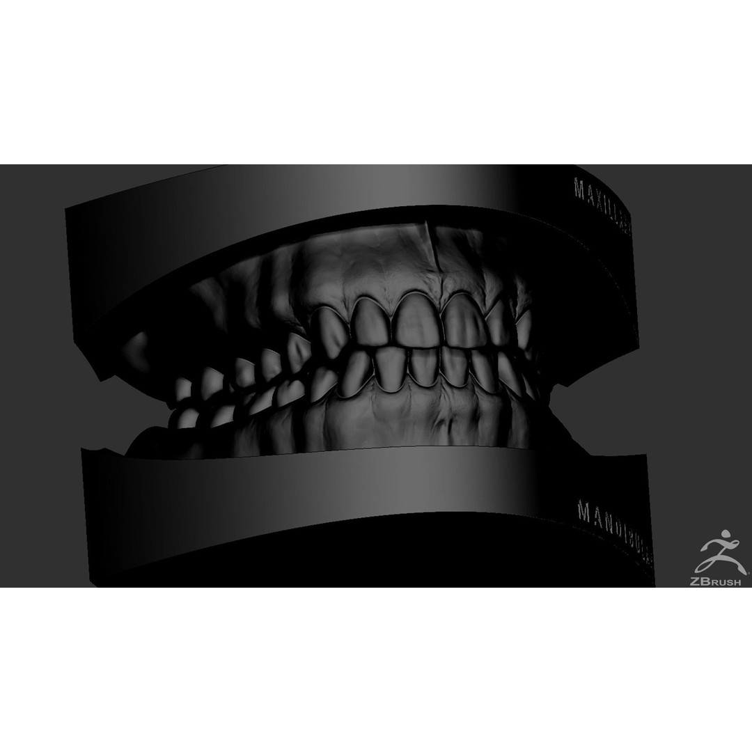 High Poly Mouth 3D Model – Realistic Anatomy Asset, OBJ + STL - View 33