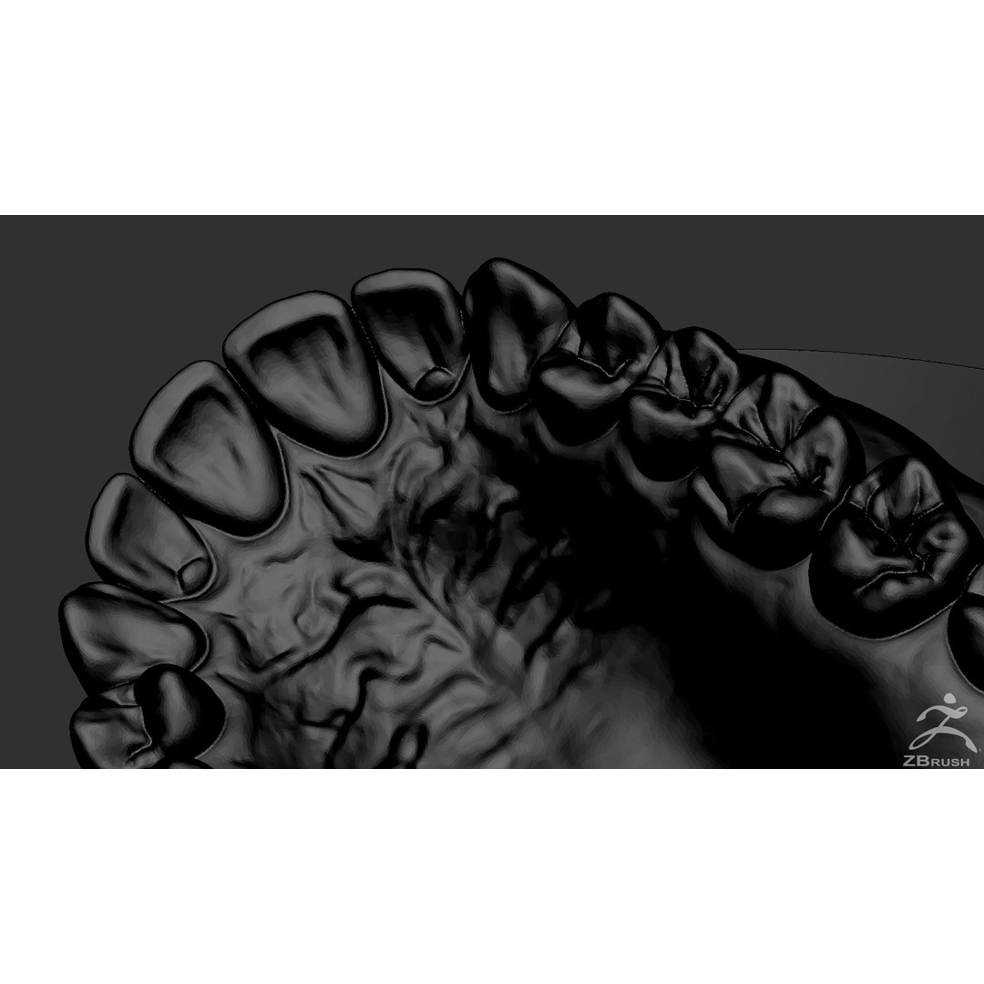 High Poly Mouth 3D Model – Realistic Anatomy Asset, OBJ + STL - View 35