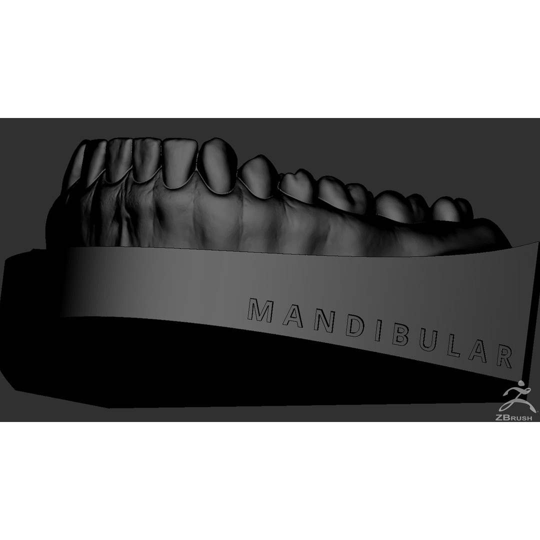 High Poly Mouth 3D Model – Realistic Anatomy Asset, OBJ + STL - View 36