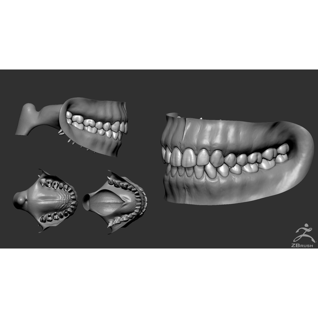 High Poly Mouth 3D Model – Realistic Anatomy Asset, OBJ + STL - View 4