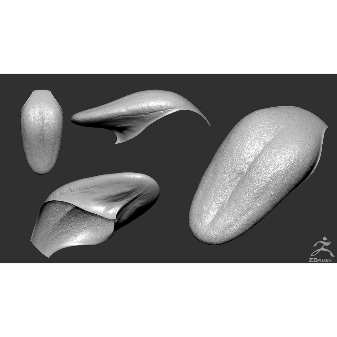 High Poly Mouth 3D Model – Realistic Anatomy Asset, OBJ + STL - View 5