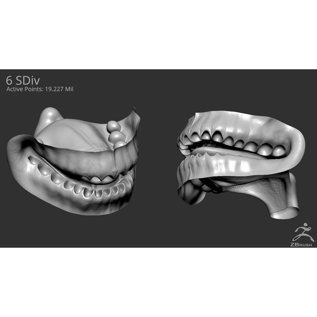 High Poly Mouth 3D Model – Realistic Anatomy Asset, OBJ + STL - View 6