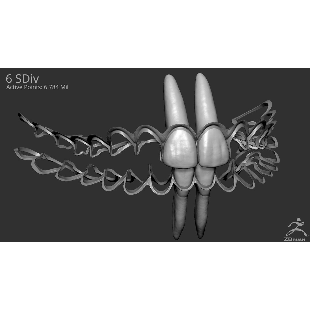 High Poly Mouth 3D Model – Realistic Anatomy Asset, OBJ + STL - View 8