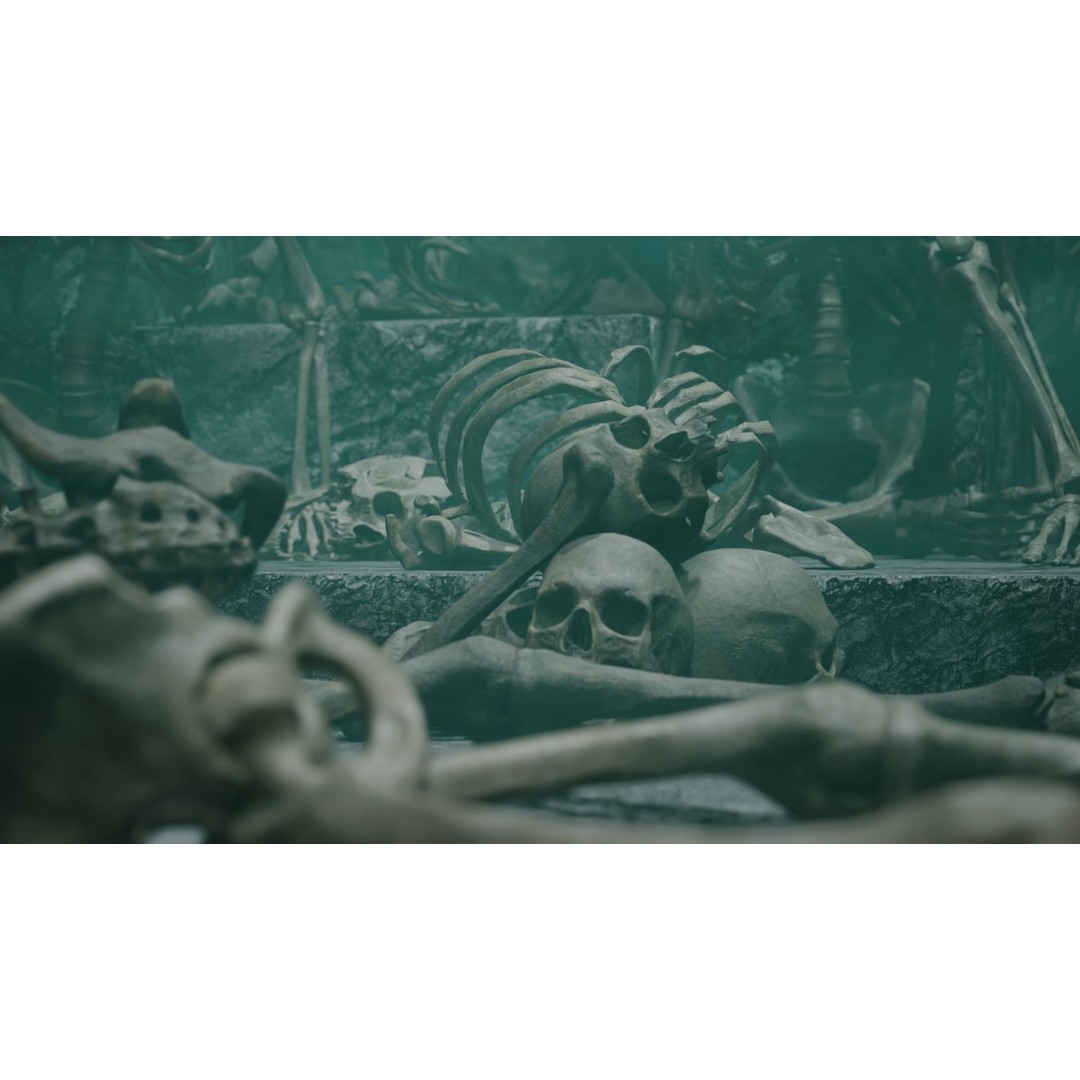 Skeleton 3D Model – Low Poly Rigged Character with PBR Textures