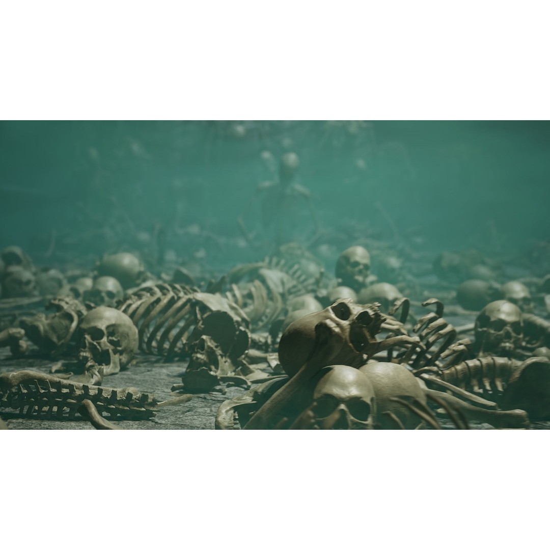 Skeleton 3D Model – Low Poly Rigged Character with PBR Textures - View 10