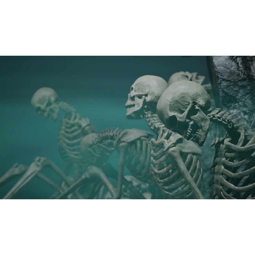 Skeleton 3D Model – Low Poly Rigged Character with PBR Textures - View 12