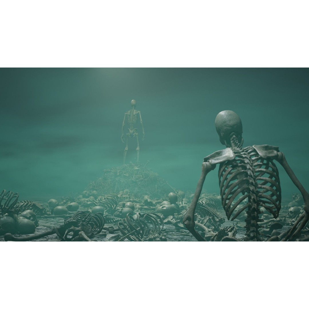 Skeleton 3D Model – Low Poly Rigged Character with PBR Textures - View 13