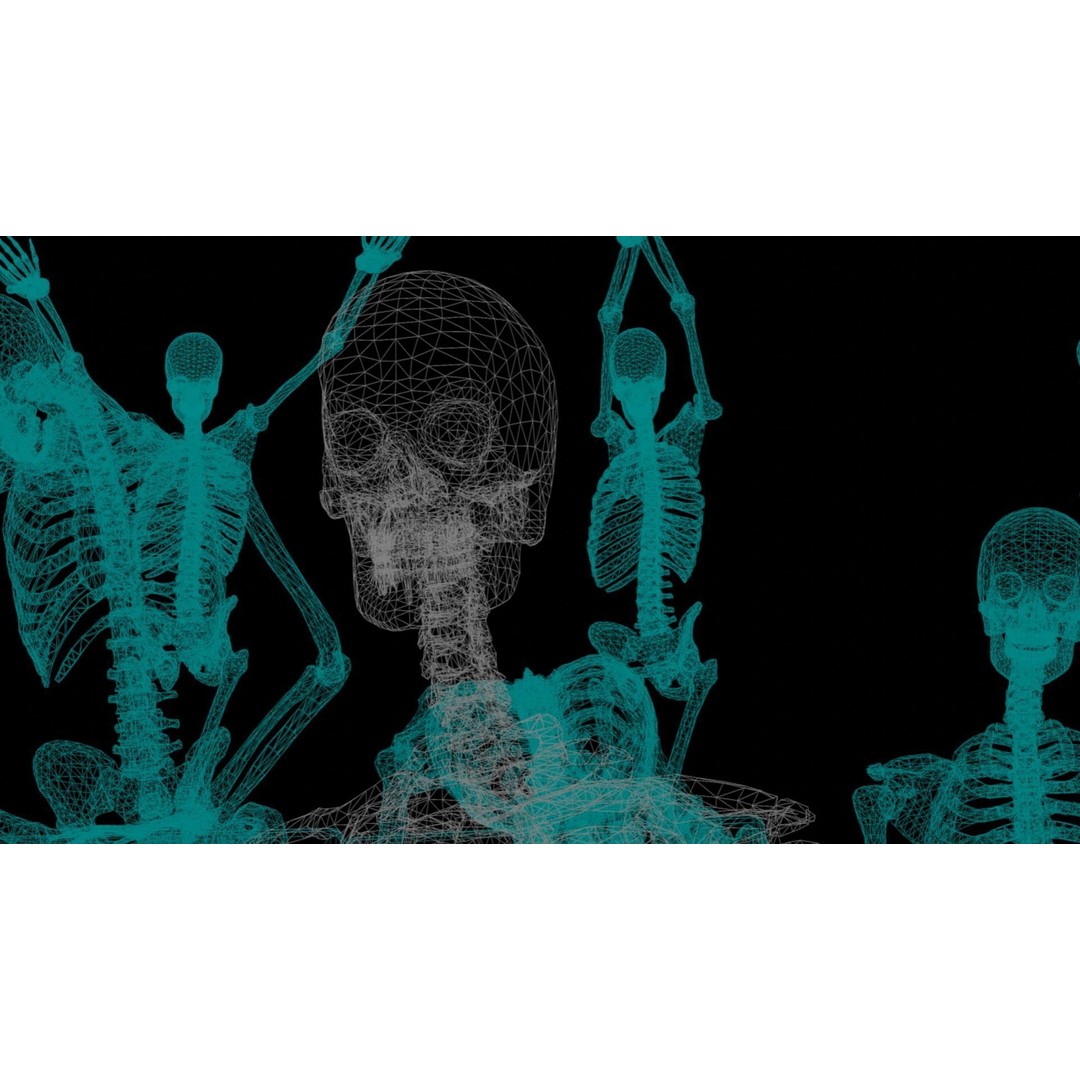 Skeleton 3D Model – Low Poly Rigged Character with PBR Textures - View 20