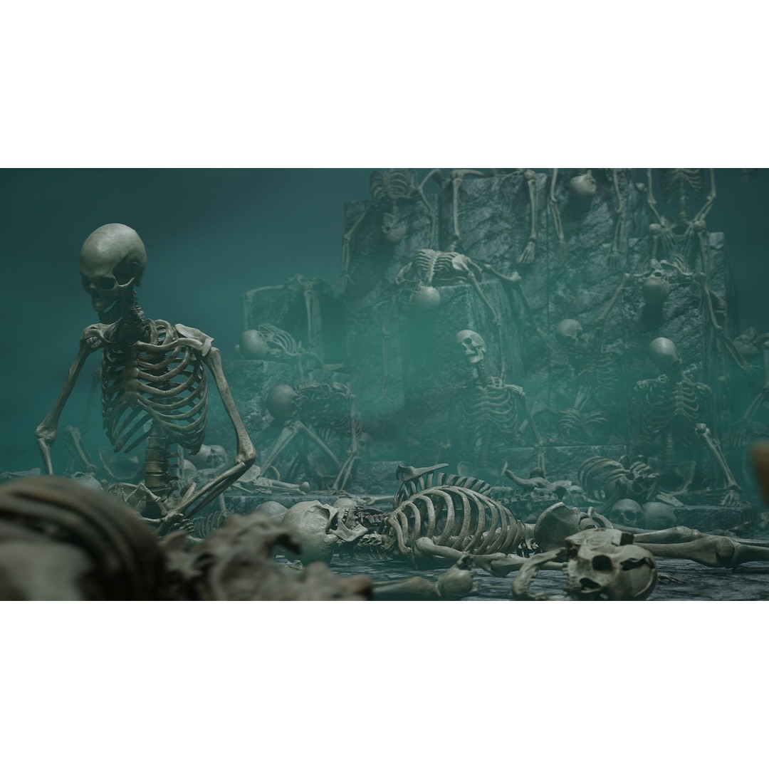 Skeleton 3D Model – Low Poly Rigged Character with PBR Textures - View 4