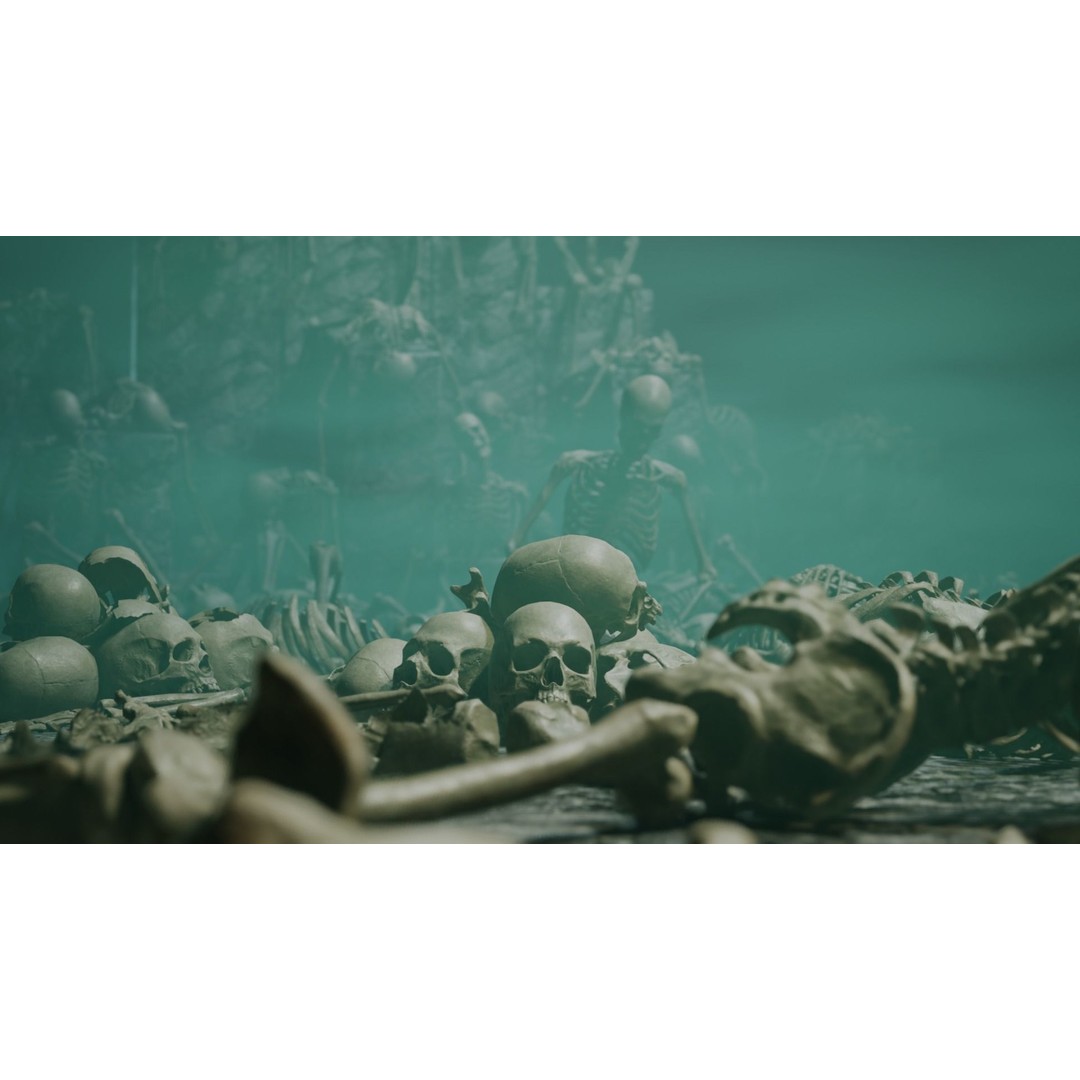 Skeleton 3D Model – Low Poly Rigged Character with PBR Textures - View 7