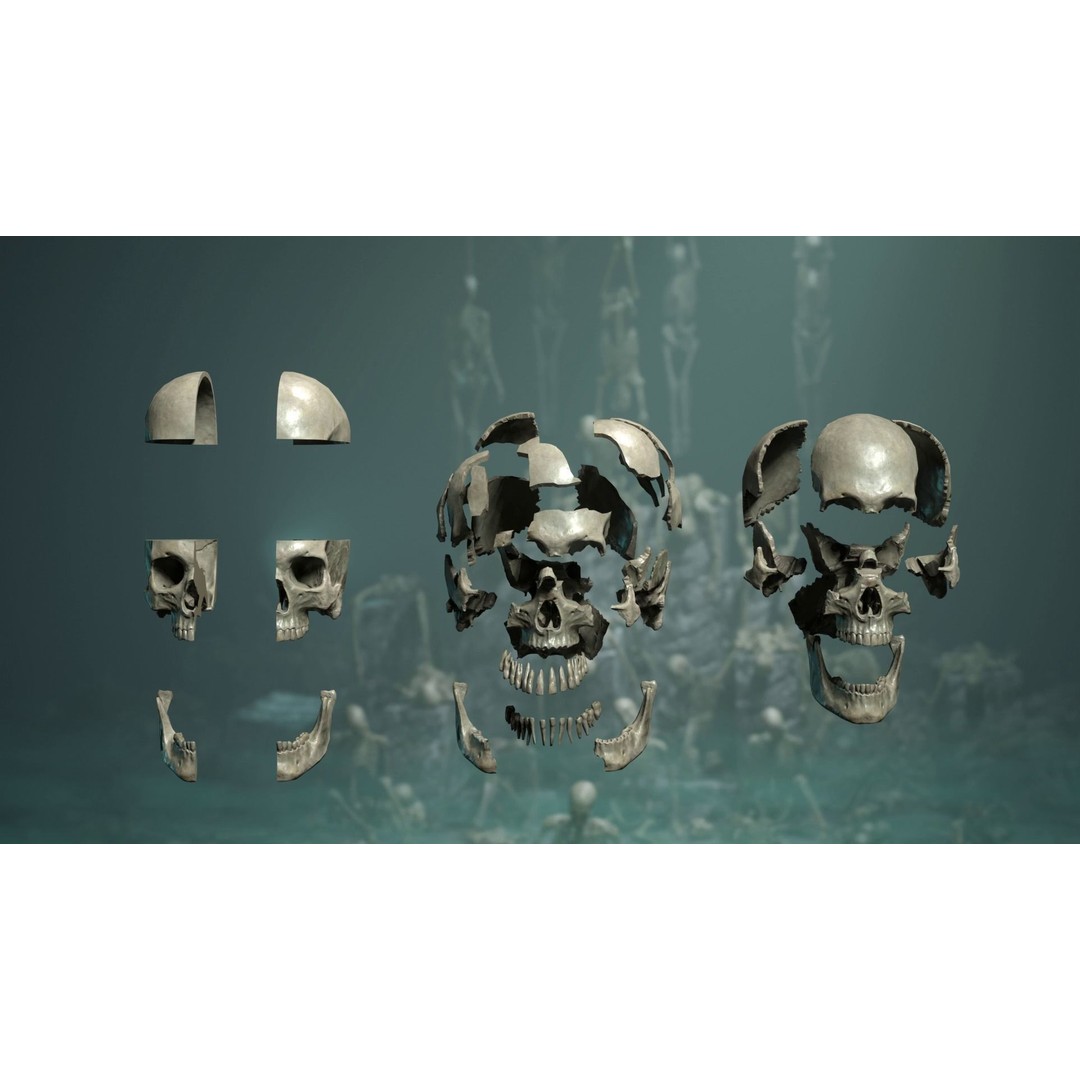 Skeleton 3D Model – Low Poly Rigged Character with PBR Textures - View 8