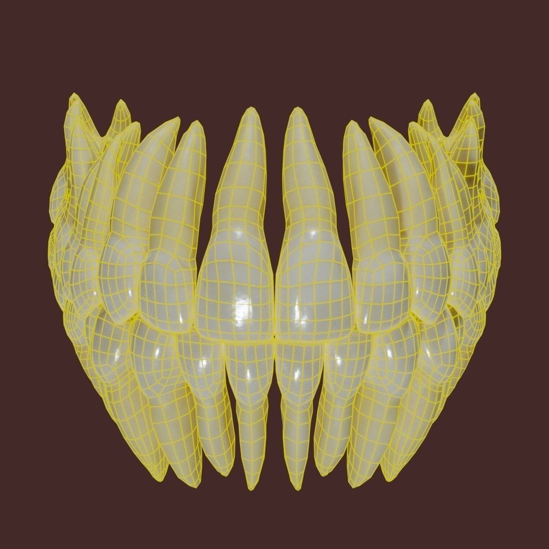 Teeth 3D Model – Low Poly Anatomy Asset with PBR Textures - View 5
