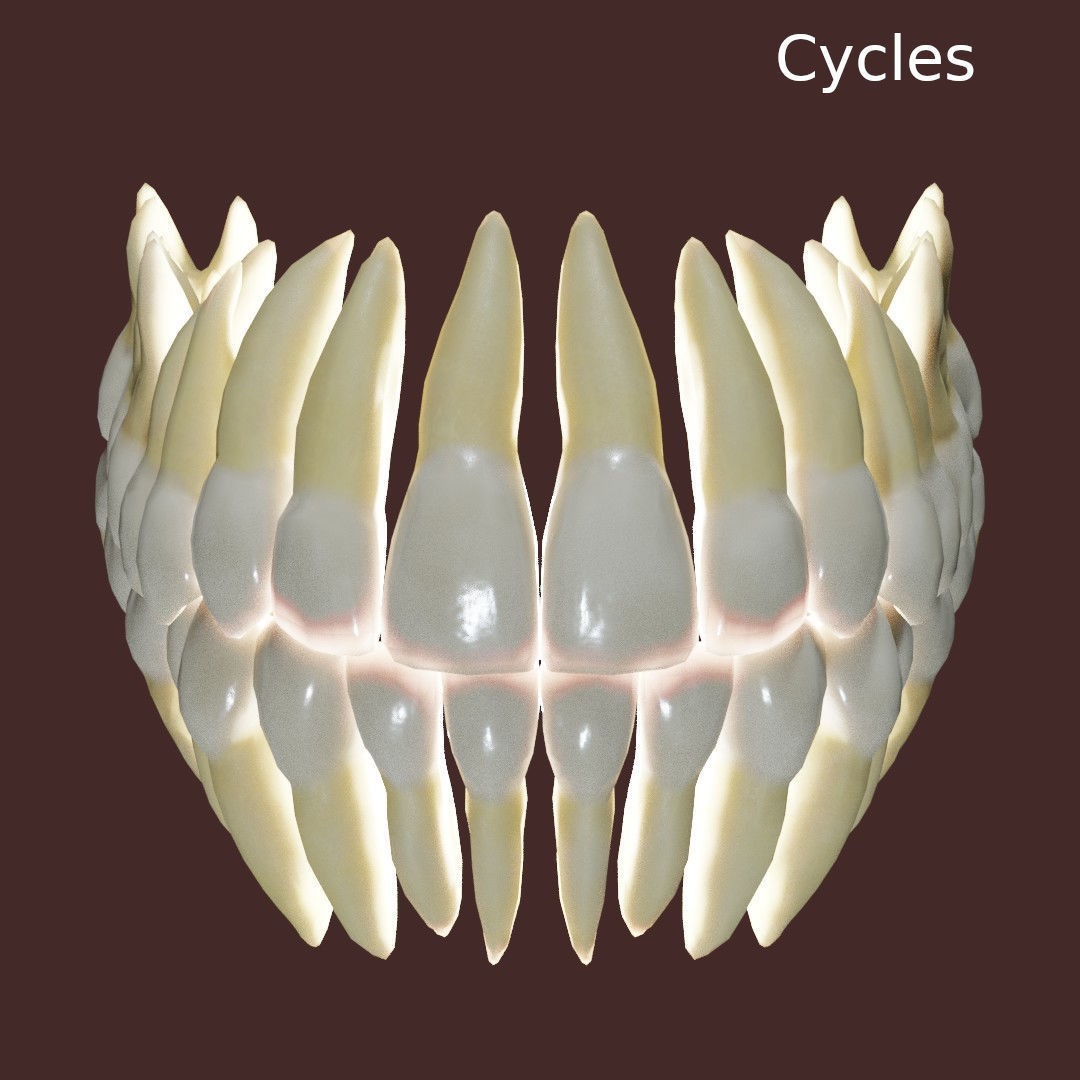 Teeth 3D Model – Low Poly Anatomy Asset with PBR Textures - View 6